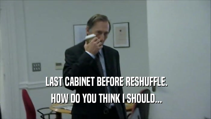  LAST CABINET BEFORE RESHUFFLE.  HOW DO YOU THINK I SHOULD... 