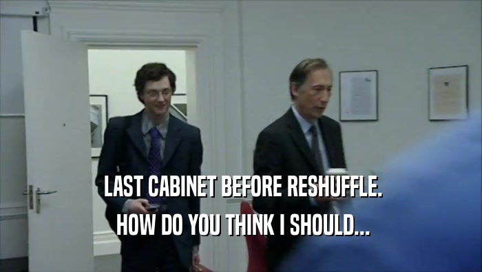  LAST CABINET BEFORE RESHUFFLE.  HOW DO YOU THINK I SHOULD... 