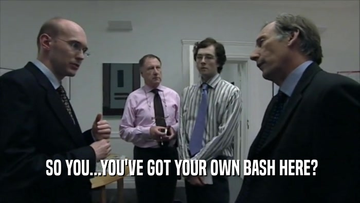  SO YOU...YOU'VE GOT YOUR OWN BASH HERE?  