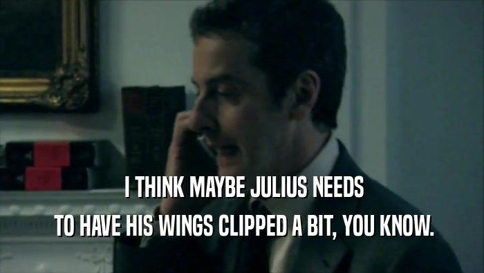  I THINK MAYBE JULIUS NEEDS  TO HAVE HIS WINGS CLIPPED A BIT, YOU KNOW. 