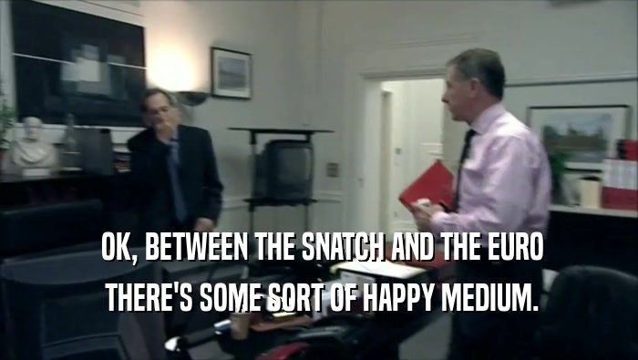  OK, BETWEEN THE SNATCH AND THE EURO  THERE'S SOME SORT OF HAPPY MEDIUM. 