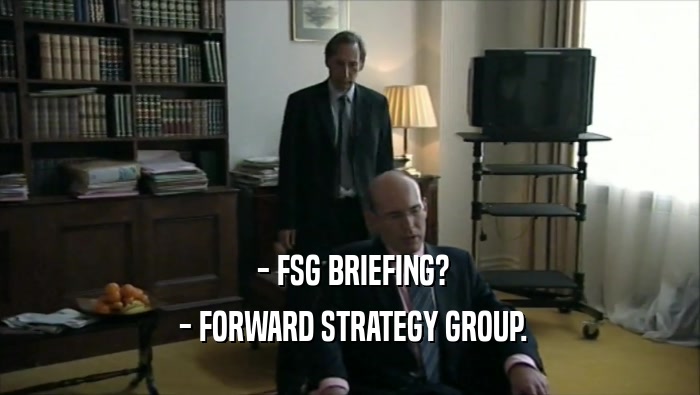  - FSG BRIEFING?  - FORWARD STRATEGY GROUP. 