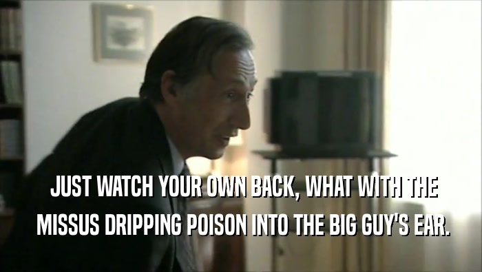  JUST WATCH YOUR OWN BACK, WHAT WITH THE  MISSUS DRIPPING POISON INTO THE BIG GUY'S EAR. 
