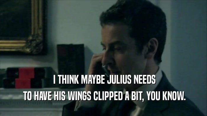  I THINK MAYBE JULIUS NEEDS  TO HAVE HIS WINGS CLIPPED A BIT, YOU KNOW. 