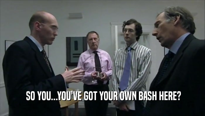  SO YOU...YOU'VE GOT YOUR OWN BASH HERE?  