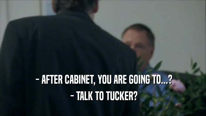  - AFTER CABINET, YOU ARE GOING TO...?  - TALK TO TUCKER? 