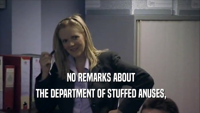  NO REMARKS ABOUT  THE DEPARTMENT OF STUFFED ANUSES, 