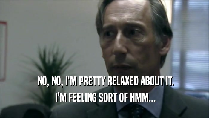  NO, NO, I'M PRETTY RELAXED ABOUT IT.  I'M FEELING SORT OF HMM... 