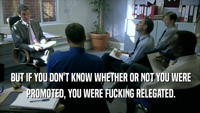  BUT IF YOU DON'T KNOW WHETHER OR NOT YOU WERE  PROMOTED, YOU WERE FUCKING RELEGATED. 