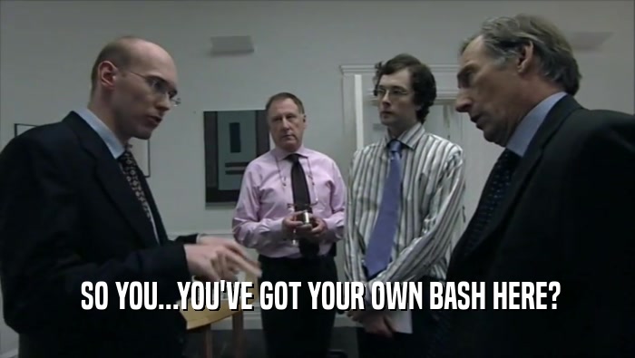  SO YOU...YOU'VE GOT YOUR OWN BASH HERE?  