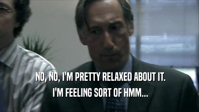  NO, NO, I'M PRETTY RELAXED ABOUT IT.  I'M FEELING SORT OF HMM... 