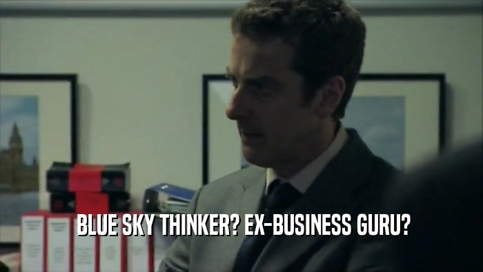  BLUE SKY THINKER? EX-BUSINESS GURU?  