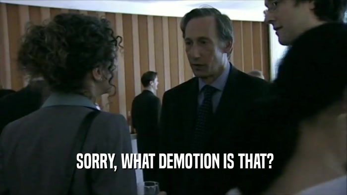  SORRY, WHAT DEMOTION IS THAT?  