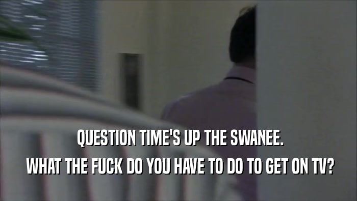  QUESTION TIME'S UP THE SWANEE.  WHAT THE FUCK DO YOU HAVE TO DO TO GET ON TV? 