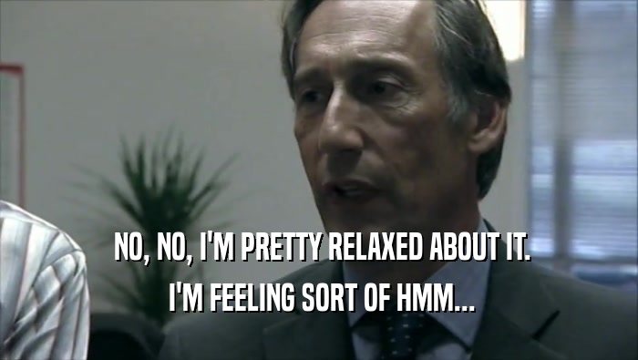  NO, NO, I'M PRETTY RELAXED ABOUT IT.  I'M FEELING SORT OF HMM... 