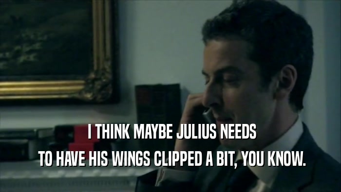  I THINK MAYBE JULIUS NEEDS  TO HAVE HIS WINGS CLIPPED A BIT, YOU KNOW. 