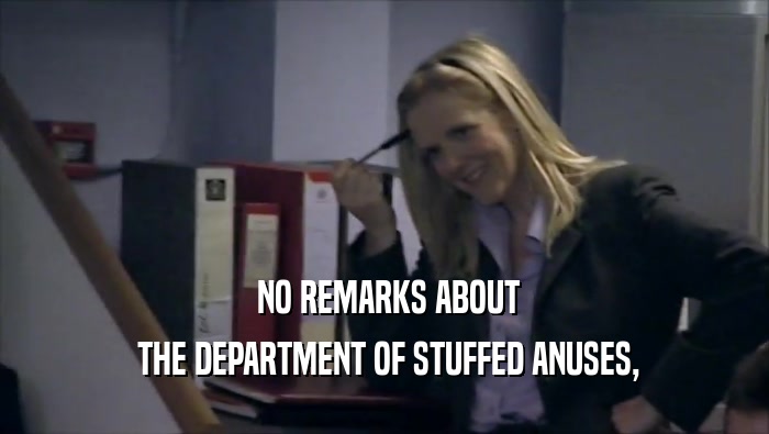  NO REMARKS ABOUT  THE DEPARTMENT OF STUFFED ANUSES, 