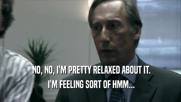  NO, NO, I'M PRETTY RELAXED ABOUT IT.  I'M FEELING SORT OF HMM... 