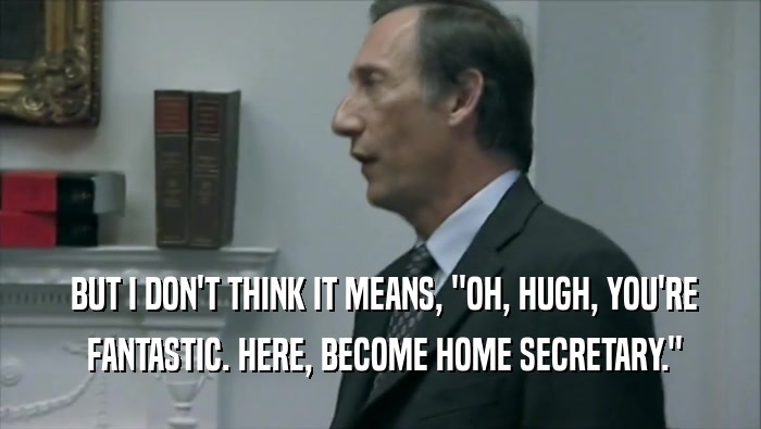  BUT I DON'T THINK IT MEANS, ''OH, HUGH, YOU'RE  FANTASTIC. HERE, BECOME HOME SECRETARY.'' 