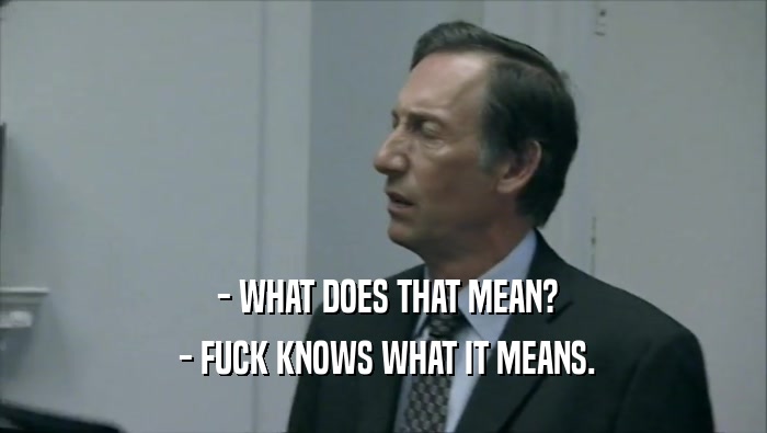  - WHAT DOES THAT MEAN?  - FUCK KNOWS WHAT IT MEANS. 