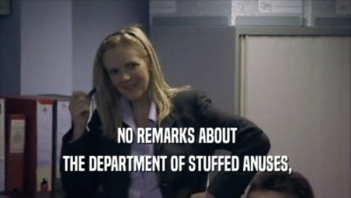  NO REMARKS ABOUT
  THE DEPARTMENT OF STUFFED ANUSES,
 