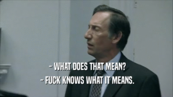  - WHAT DOES THAT MEAN?  - FUCK KNOWS WHAT IT MEANS. 