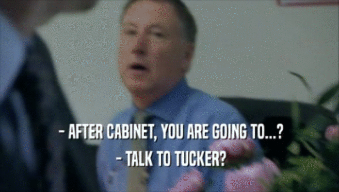  - AFTER CABINET, YOU ARE GOING TO...?  - TALK TO TUCKER? 