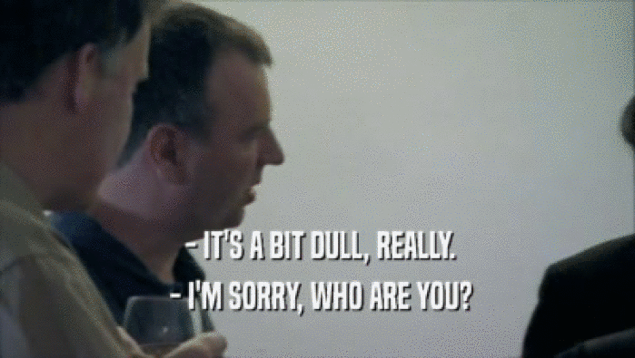  - IT'S A BIT DULL, REALLY.  - I'M SORRY, WHO ARE YOU? 