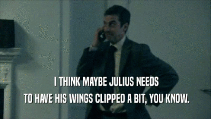  I THINK MAYBE JULIUS NEEDS  TO HAVE HIS WINGS CLIPPED A BIT, YOU KNOW. 