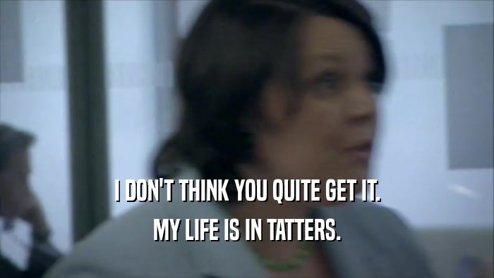 I DON'T THINK YOU QUITE GET IT. MY LIFE IS IN TATTERS. 