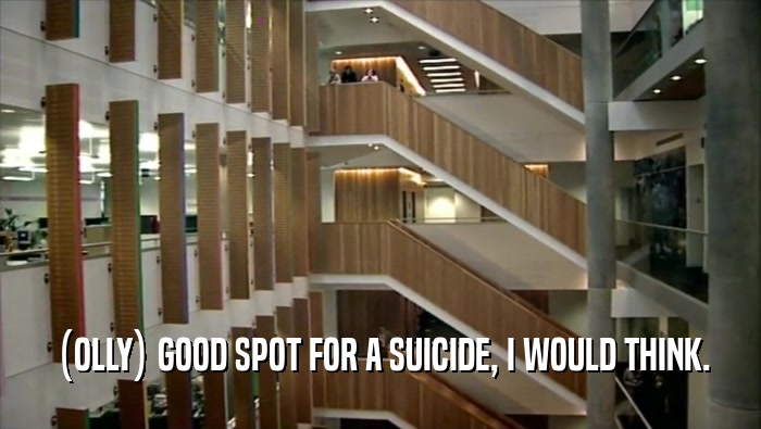 (OLLY) GOOD SPOT FOR A SUICIDE, I WOULD THINK.  
