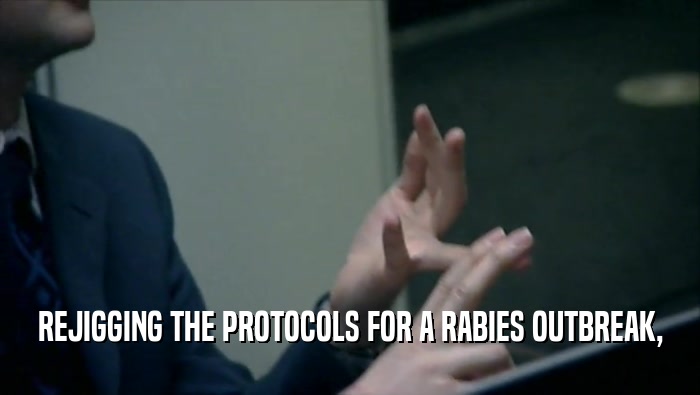 REJIGGING THE PROTOCOLS FOR A RABIES OUTBREAK,
  