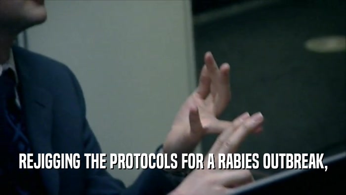REJIGGING THE PROTOCOLS FOR A RABIES OUTBREAK,  