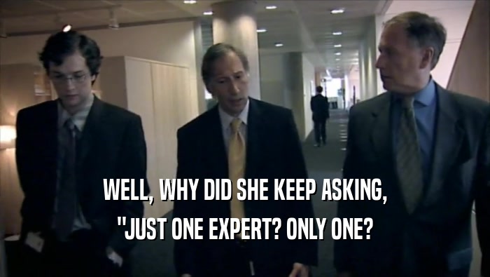 WELL, WHY DID SHE KEEP ASKING, ''JUST ONE EXPERT? ONLY ONE? 