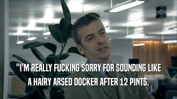 ''I'M REALLY FUCKING SORRY FOR SOUNDING LIKE A HAIRY ARSED DOCKER AFTER 12 PINTS. 