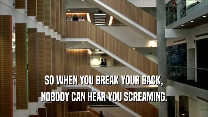SO WHEN YOU BREAK YOUR BACK, NOBODY CAN HEAR YOU SCREAMING. 