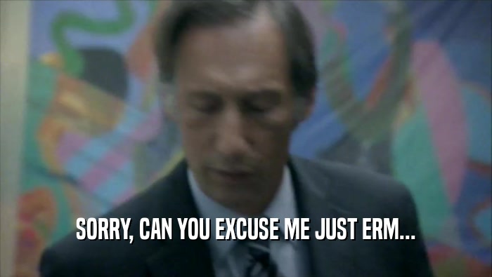 SORRY, CAN YOU EXCUSE ME JUST ERM...  