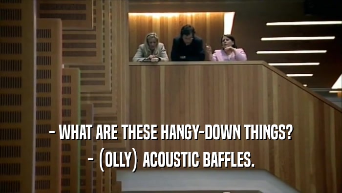 - WHAT ARE THESE HANGY-DOWN THINGS? - (OLLY) ACOUSTIC BAFFLES. 
