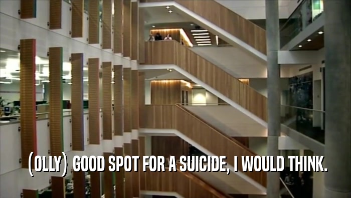 (OLLY) GOOD SPOT FOR A SUICIDE, I WOULD THINK.  