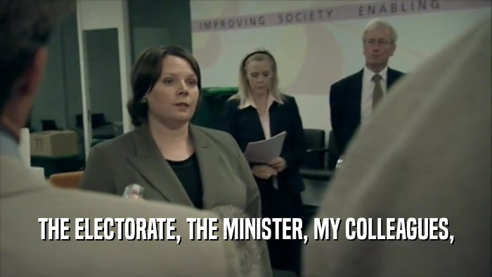 THE ELECTORATE, THE MINISTER, MY COLLEAGUES,  