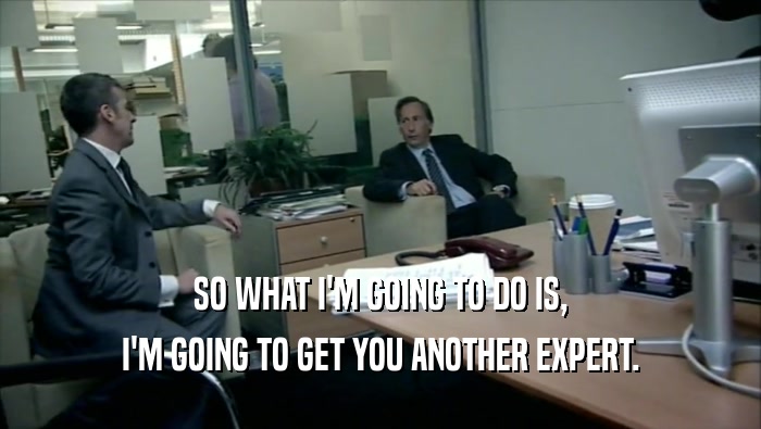 SO WHAT I'M GOING TO DO IS, I'M GOING TO GET YOU ANOTHER EXPERT. 