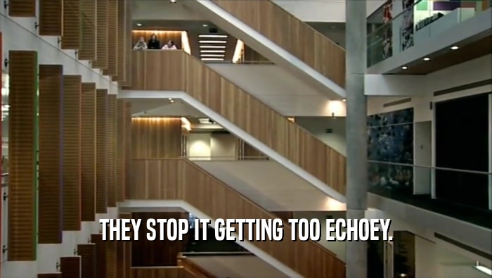 THEY STOP IT GETTING TOO ECHOEY.  