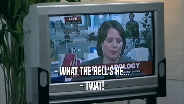 - WHAT THE HELL'S HE... - TWAT! 