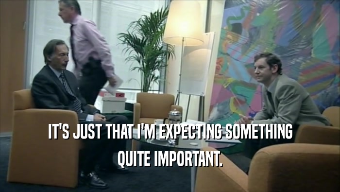IT'S JUST THAT I'M EXPECTING SOMETHING QUITE IMPORTANT. 