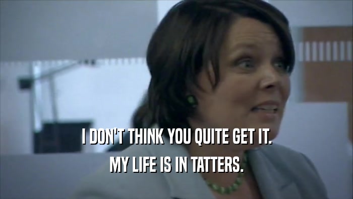 I DON'T THINK YOU QUITE GET IT. MY LIFE IS IN TATTERS. 