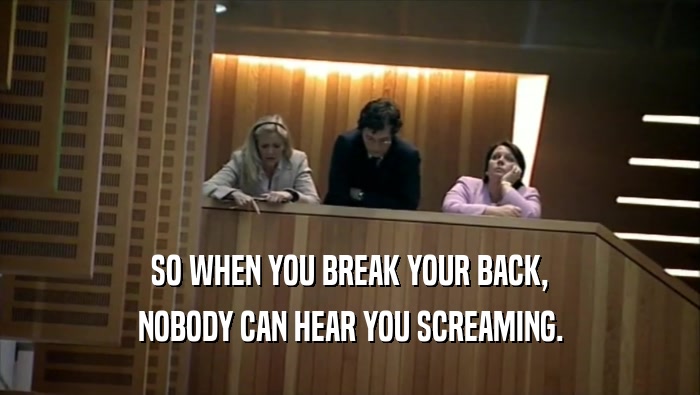 SO WHEN YOU BREAK YOUR BACK, NOBODY CAN HEAR YOU SCREAMING. 