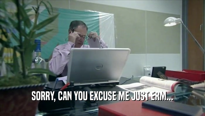 SORRY, CAN YOU EXCUSE ME JUST ERM...  