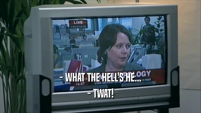 - WHAT THE HELL'S HE... - TWAT! 