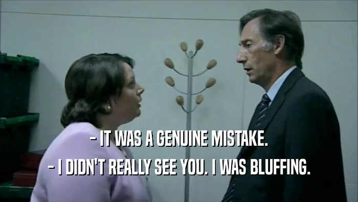 - IT WAS A GENUINE MISTAKE.
 - I DIDN'T REALLY SEE YOU. I WAS BLUFFING.
 