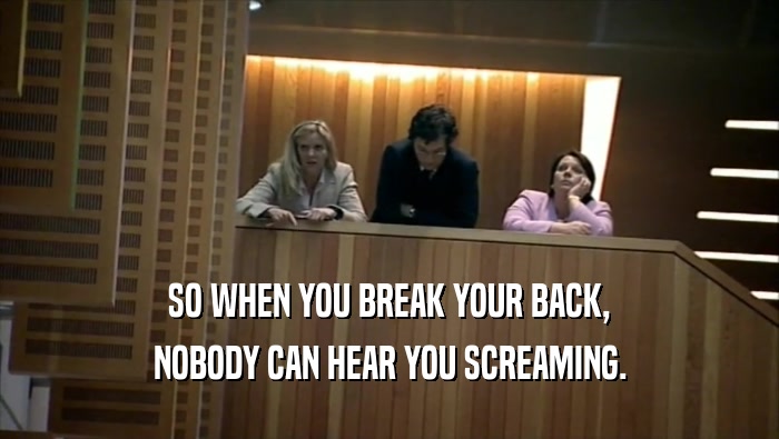 SO WHEN YOU BREAK YOUR BACK, NOBODY CAN HEAR YOU SCREAMING. 